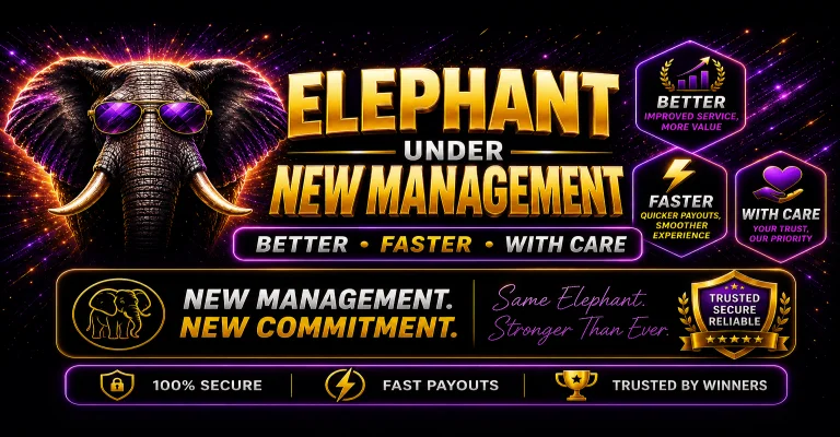 New Management